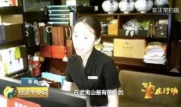 茶叶爆料视频大全集播放,揭秘茶叶界的秘密与传奇